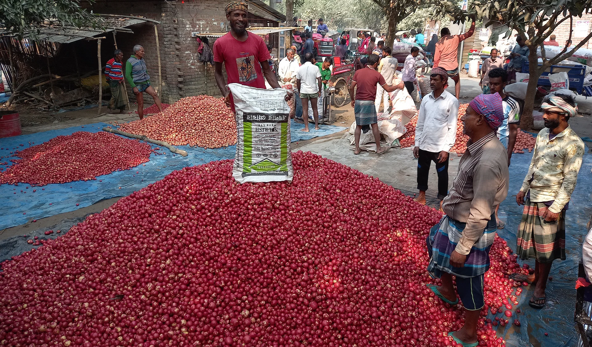 এ হাটে আলুর দাম ভালো। আর গ্রাম থেকে একদম কাছে এ হাট বসায় আলু আনা–নেওয়ার পরিবহন খরচও নেই। তাই কৃষকের লাভ থাকছে।