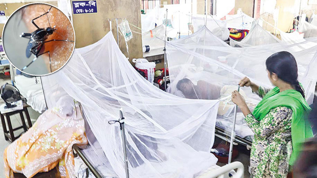 একদিনে আরও ৪৭ ডেঙ্গু রোগী হাসপাতালে